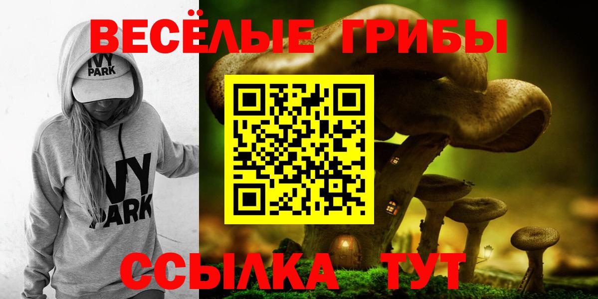 Выборг  продажа наркотиков  Вход с VPN  Псилоцибиновые грибы прущие грибы 